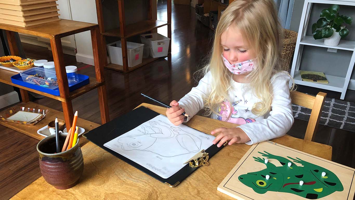 Parts of a Frog Puzzle - The School of Montessori