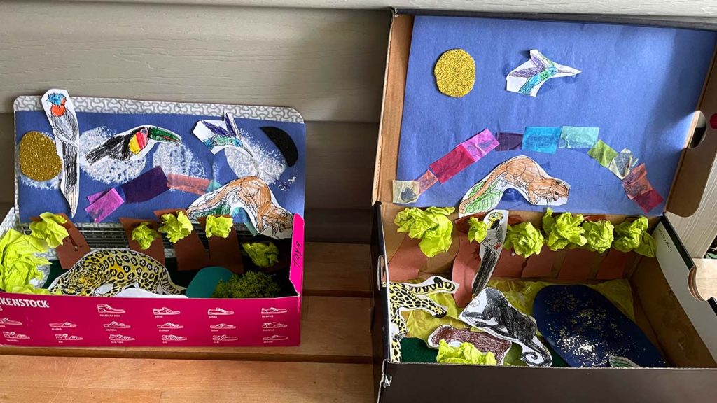 Shoebox Rainforest - The School of Montessori